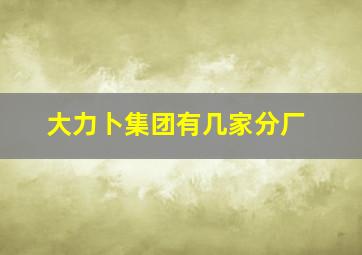 大力卜集团有几家分厂