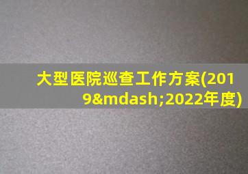 大型医院巡查工作方案(2019—2022年度)