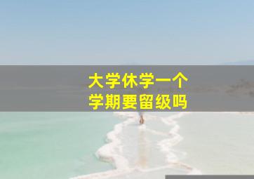 大学休学一个学期要留级吗