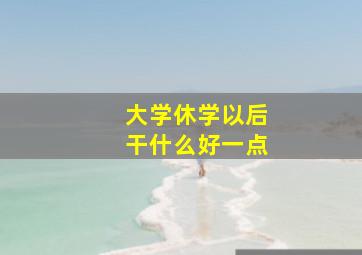 大学休学以后干什么好一点