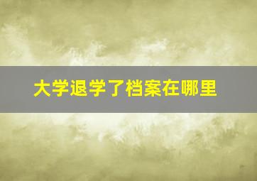 大学退学了档案在哪里