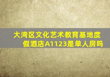 大湾区文化艺术教育基地度假酒店A1123是单人房吗