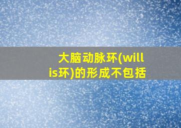 大脑动脉环(willis环)的形成不包括