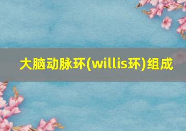 大脑动脉环(willis环)组成