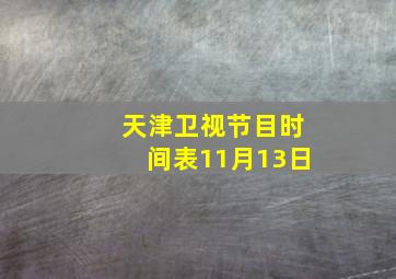 天津卫视节目时间表11月13日