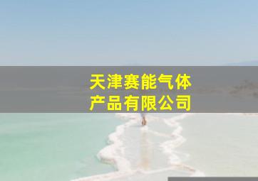 天津赛能气体产品有限公司