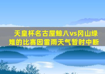 天皇杯名古屋鲸八vs冈山绿雉的比赛因雷雨天气暂时中断