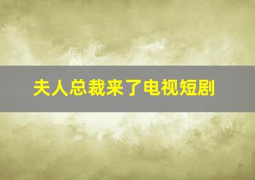 夫人总裁来了电视短剧