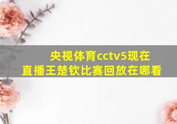 央视体育cctv5现在直播王楚钦比赛回放在哪看