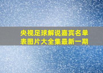 央视足球解说嘉宾名单表图片大全集最新一期