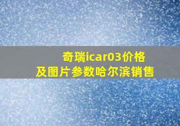 奇瑞icar03价格及图片参数哈尔滨销售