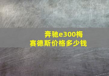 奔驰e300梅赛德斯价格多少钱