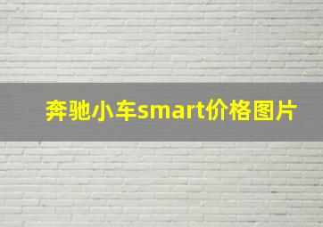 奔驰小车smart价格图片