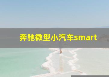 奔驰微型小汽车smart