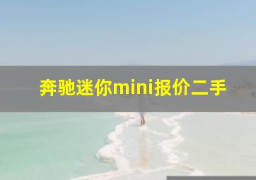 奔驰迷你mini报价二手