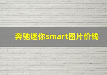 奔驰迷你smart图片价钱