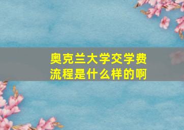 奥克兰大学交学费流程是什么样的啊