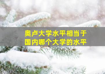 奥卢大学水平相当于国内哪个大学的水平