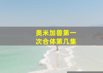 奥米加兽第一次合体第几集