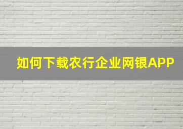 如何下载农行企业网银APP