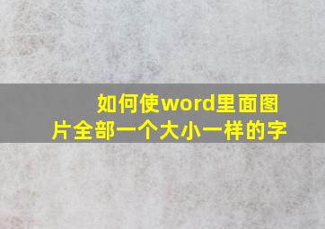 如何使word里面图片全部一个大小一样的字