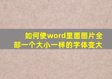 如何使word里面图片全部一个大小一样的字体变大