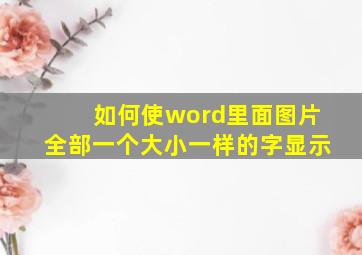 如何使word里面图片全部一个大小一样的字显示