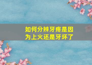 如何分辨牙疼是因为上火还是牙坏了