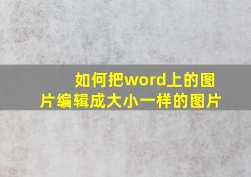 如何把word上的图片编辑成大小一样的图片