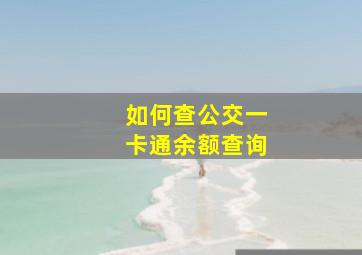 如何查公交一卡通余额查询