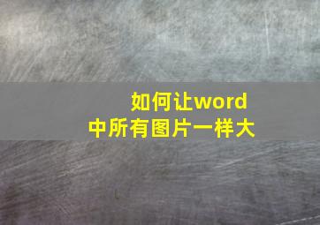 如何让word中所有图片一样大