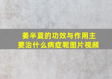 姜半夏的功效与作用主要治什么病症呢图片视频