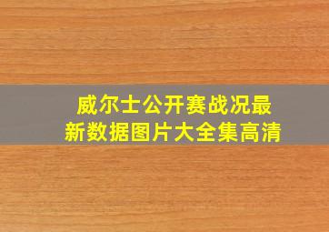 威尔士公开赛战况最新数据图片大全集高清