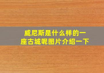 威尼斯是什么样的一座古城呢图片介绍一下