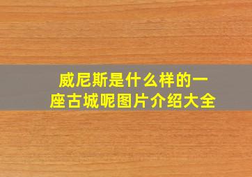 威尼斯是什么样的一座古城呢图片介绍大全