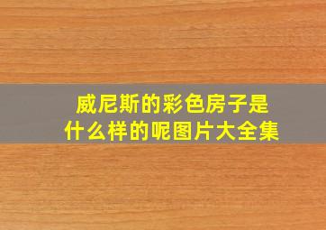 威尼斯的彩色房子是什么样的呢图片大全集