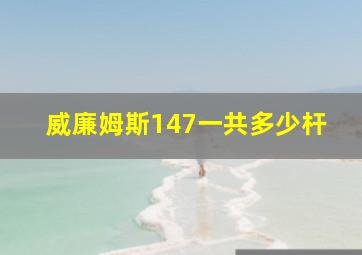 威廉姆斯147一共多少杆