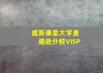 威斯康星大学麦迪逊分校VISP