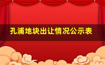 孔浦地块出让情况公示表