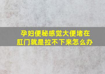 孕妇便秘感觉大便堵在肛门就是拉不下来怎么办