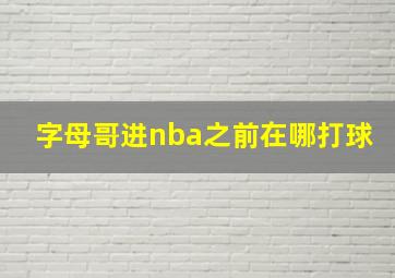 字母哥进nba之前在哪打球