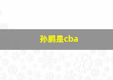 孙鹏是cba