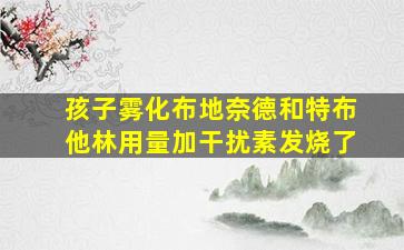 孩子雾化布地奈德和特布他林用量加干扰素发烧了