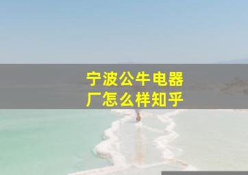 宁波公牛电器厂怎么样知乎