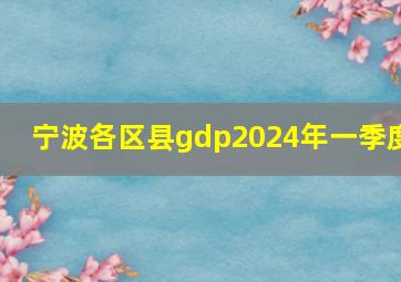 宁波各区县gdp2024年一季度