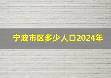 宁波市区多少人口2024年