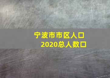 宁波市市区人口2020总人数口