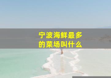 宁波海鲜最多的菜场叫什么