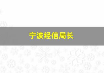 宁波经信局长