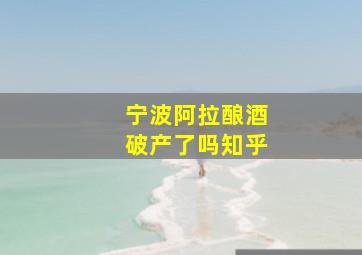 宁波阿拉酿酒破产了吗知乎